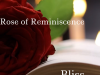 Rose of Reminiscence