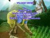 Village Shine