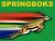 &lsquo;Bring It Home Bokke&rsquo;