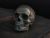 To Yorick's Skull and No One Else