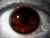 Look inside
