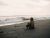 The Waves
