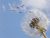 A breezy senryu
