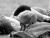 &#2013266069;AM INCOMPLETE WITHOUT YOU&#2013266069;&#9679;&#991;