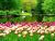 secret garden to go to