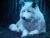 WHITE WOLVES: Brief Encounter