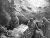 40. Balaam
