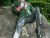 The day I met Oscar Wilde in Merrion Square 