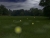 The Field of Fireflies