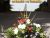 Que Tragedia es Una Vida Malgastada  / What a Tragedy is a Wasted Life [poem]