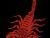 Scorpion Punk