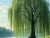 Weeping Willow 