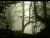 Phantom Whispers (revamped version)