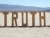Find The Truth