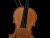 The Violin