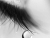 Tears from the Moon