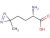 Solid Methionine Marke0.t Strategy, Segmentation Analysis and Forecast to 2028