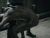 Van Helsing: Nothing Matters (Vaxel)