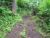 The Mountain Path  (9-14-85)