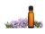 Essential Oil Market Size, Key Players, Industry Growth Analysis and Forecast to 2027