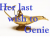 Her Last Wish to Genie
