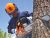 Chain Saw Cleaning and It's Importance