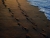 Footprints in the Sand