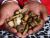 TRADITIONAL HEALER  [+277&rsquo;64410&rsquo;726]. SANGOMA  In Durban , Durban North , East Rand , Edenvale , Ell