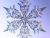 Snowflakes