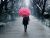 Pink Umbrella Girl