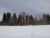 Alberta 2015