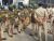 Delhi Police Takes Precautionary Measures In Delhi's Shaheen Bagh