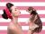 Clean Cuts, Clear Focus: The Power of Background Removal in Professional Photo Editing