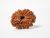 5 Interesting Facts about Rudraksha Beads