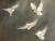 The birds