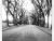 The Autumn Sidewalk