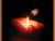 Moth to a Flame