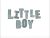 The little boy