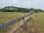 Between This Fence and the Horizon