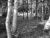 Chapter 10