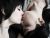 In a Love Story