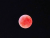 BLOOD RED MOON