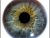 Deep Into Vision