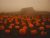The Battle of Pumpkin Field