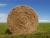 Clouds of Hazy Hay