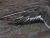 Feather's of a bird