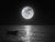 Mother Moon 
