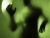 The Paranormal