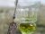 Absinthe at home