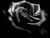 If I Had You 
